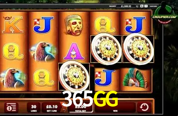 Exclusive Offers 365GG